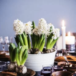 Potte Nellie - Ø26 Cm, Hvit -NO Møbler Salgsbutikk 151021 Plantagen JUL40751