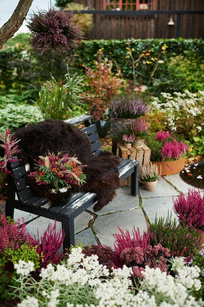 Saueskinn Dovre - Lengde 110 Cm, Brun 4 Saueskinn Dovre - Lengde 110 Cm, Brun - Bilde 2