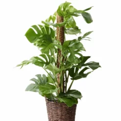 Potte Kenny - Ø32 Cm, Brun 5 Potte Kenny - Ø32 Cm, Brun -NO Møbler Salgsbutikk 2338852 70587823388521