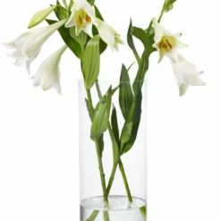 Vase Jennifer - Høyde 40 Cm, Transparent -NO Møbler Salgsbutikk 2347304 70587823473042