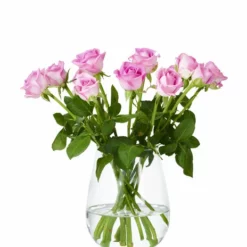 Vase Wilma - Høyde 19 Cm, Transparent -NO Møbler Salgsbutikk 2347724 70587823477241
