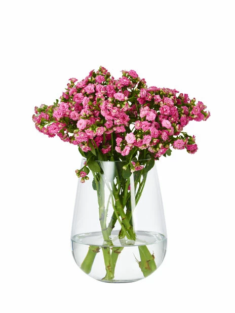 Vase Wilma - Høyde 23 Cm, Transparent 4 Vase Wilma - Høyde 23 Cm, Transparent - Bilde 2