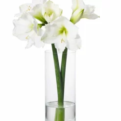 Vase Jennifer - Høyde 30 Cm, Transparent -NO Møbler Salgsbutikk 2347977 70587823479774