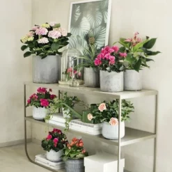 Potte Vincent - Ø15 Cm, Grå -NO Møbler Salgsbutikk 2410206 190618 Plantagen31473 1