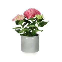 Potte Ada - Ø13 Cm, Grønn -NO Møbler Salgsbutikk 537847 Ada Pot D13 Green 537847 2