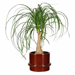 Potte Gunilla - Ø18 Cm, Brun 7 Potte Gunilla - Ø18 Cm, Brun -NO Møbler Salgsbutikk 537948 Gunilla Pot D18 Brown 537948 3