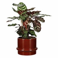 Potte Gunilla - Ø22 Cm, Brun -NO Møbler Salgsbutikk 537952 Gunilla Pot D22 Brown 537952 2