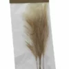 Påskepynt Fjær - 5 Pk, Brun -NO Møbler Salgsbutikk 539159 Easter Poly feather Brown 5p
