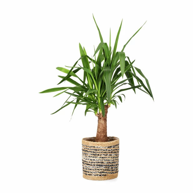 Kurv Denim - Ø25 Cm, Blå 4 Kurv Denim - Ø25 Cm, Blå - Bilde 2