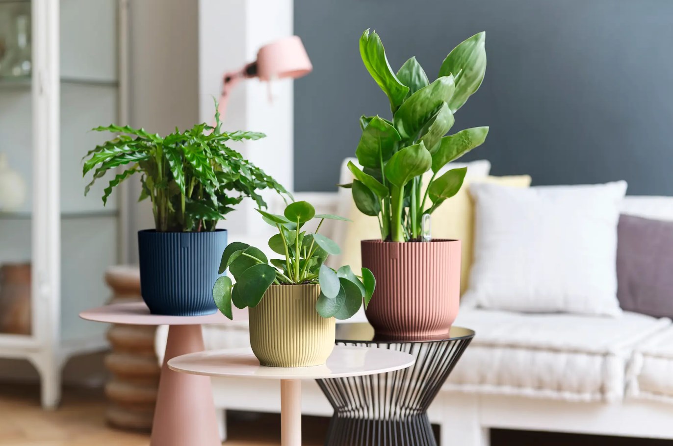 NO Møbler Salgsbutikk -NO Møbler Salgsbutikk Dingtalk 20240223171514