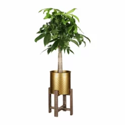 Potte Ellie - Ø29 Cm, Gull -NO Møbler Salgsbutikk Ellie pot D29 gold 539359 3