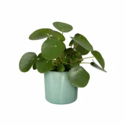 Potte Ocean Elho - Ø16 Cm, Grønn -NO Møbler Salgsbutikk FW 549221 549223 ocean green p1