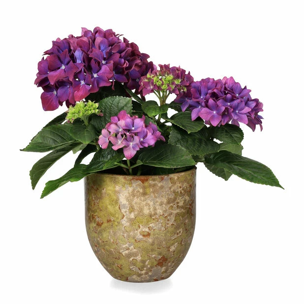 Potte Aurelia - Ø13,5 Cm, Beige 4 Potte Aurelia - Ø13,5 Cm, Beige - Bilde 2