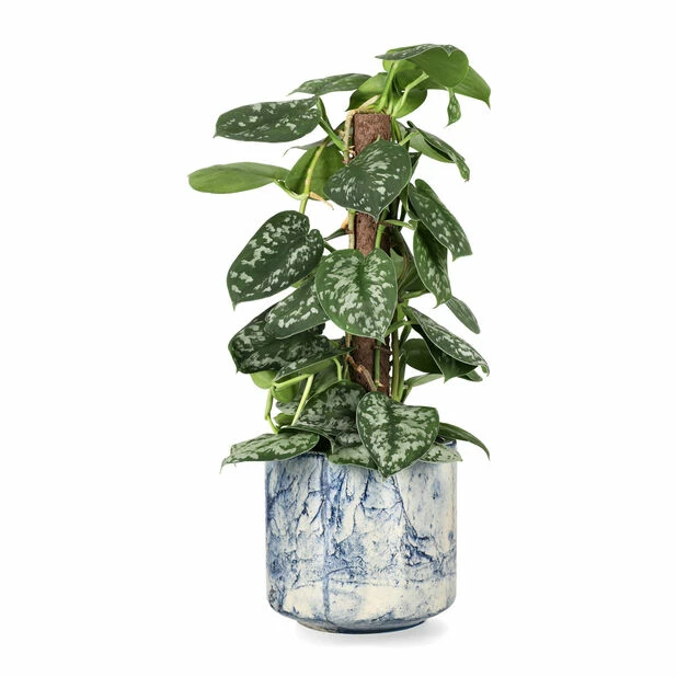 Potte Kara - Ø17 Cm, Blå 4 Potte Kara - Ø17 Cm, Blå - Bilde 2