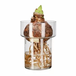 NO Møbler Salgsbutikk -NO Møbler Salgsbutikk FW Naia vase H17 transparent 541221 2