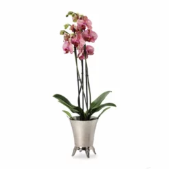 Potte Lulu - Ø15 Cm, Sølv 9 Potte Lulu - Ø15 Cm, Sølv -NO Møbler Salgsbutikk Lulu pot D15 silver 542413 2