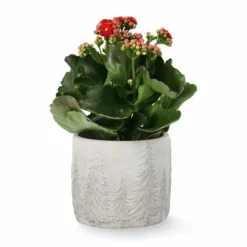 Potte Maella - Ø13 Cm, Grå 5 Potte Maella - Ø13 Cm, Grå -NO Møbler Salgsbutikk Maella pot D13 grey 542455 2