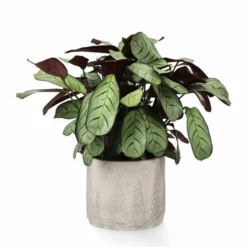 Potte Maella - Ø17,5 Cm, Grå -NO Møbler Salgsbutikk Maella pot D175 grey 542453 2