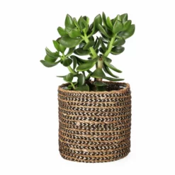 Potte Naledi - Ø16 Cm, Flerfarget -NO Møbler Salgsbutikk Naledi pot D16 multi 542446 2