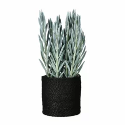 Potte Naledi - Ø20 Cm, Svart -NO Møbler Salgsbutikk Naledi pot D20 20black 542437 3