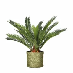 Potte Naledi - Ø20 Cm, Grønn -NO Møbler Salgsbutikk Naledi pot D20 green 542449 2